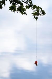 Low angle view of trees against cloudy sky