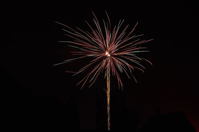 Low angle view of firework display at night