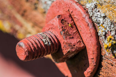 Close-up of rusty metal