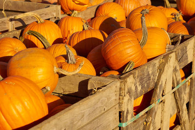 Pumpkins for sale at market