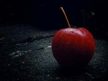 Close-up of red cherries on tree