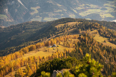 Panoramic view at mountain hut surrounded by fall colored larch trees, werfen in salzburg, austria.