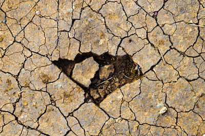 Full frame shot of cracked land