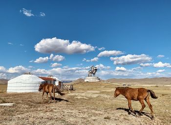 Chinghis khan horse statue near by ulanbataar city, traditional tents and wild horses