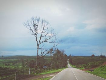 Road amidst bare trees against sky