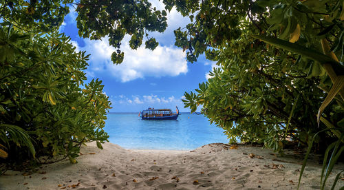 Scenic view of sea