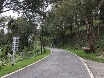 Road amidst trees and plants