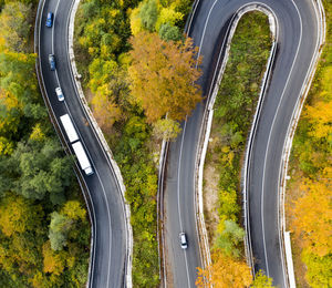 High angle view of road amidst trees