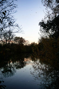 Silhouette trees by lake against sky during sunset