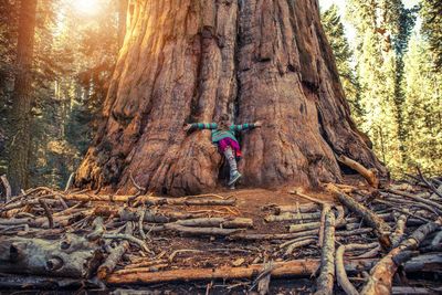 Rear view of girl hugging trees in forest