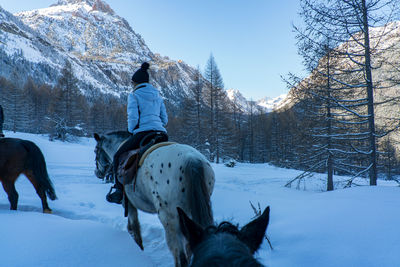 Rear view of horse on snow covered field