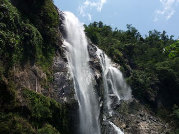 Scenic view of waterfall in forest