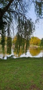 Scenic view of lake by trees against sky