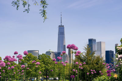 View of the world trade center from jersey city with spring flowers in bloom