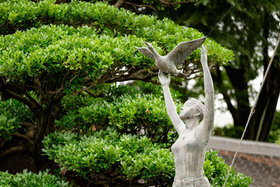 Female statue by tree growing at park