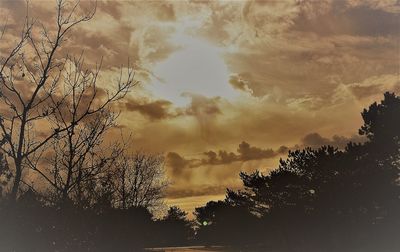 Silhouette trees against sky during sunset