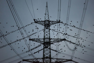 Low angle view of birds on electricity pylon against sky