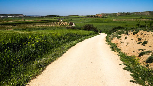 Footpath by agricultural field