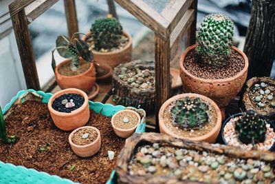 High angle view of various potted plants growing in yard