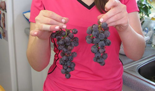 Cropped image of woman holding food