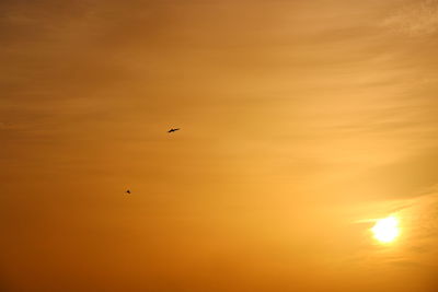 Birds flying in sky at sunset