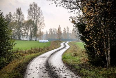 Road amidst trees against sky