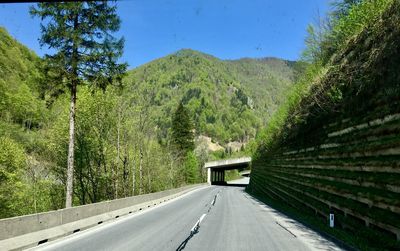 Road amidst trees against sky