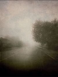 Road in foggy weather