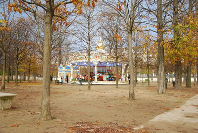 Trees in playground during autumn