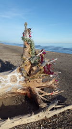 Driftwood on beach against sky