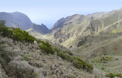 Mountain landscape between masca and teno at tenerife, canary islands, spain