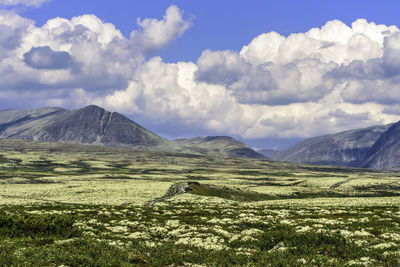 Scenic view of landscape against sky