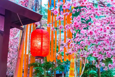 Low angle view of red lanterns hanging on plant for sale