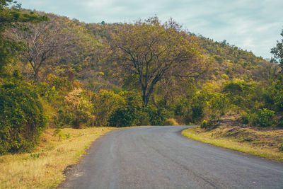 Road amidst trees against sky during autumn