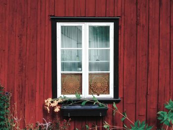 Potted plant against window of building