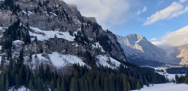 Panoramic view of pine trees and snowcapped mountains against sky