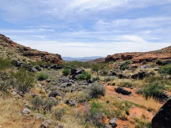 Red cliffs national conservation area on yellow knolls hiking trail southwest utah st. george