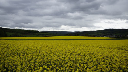 Scenic view of oilseed rape field against cloudy sky