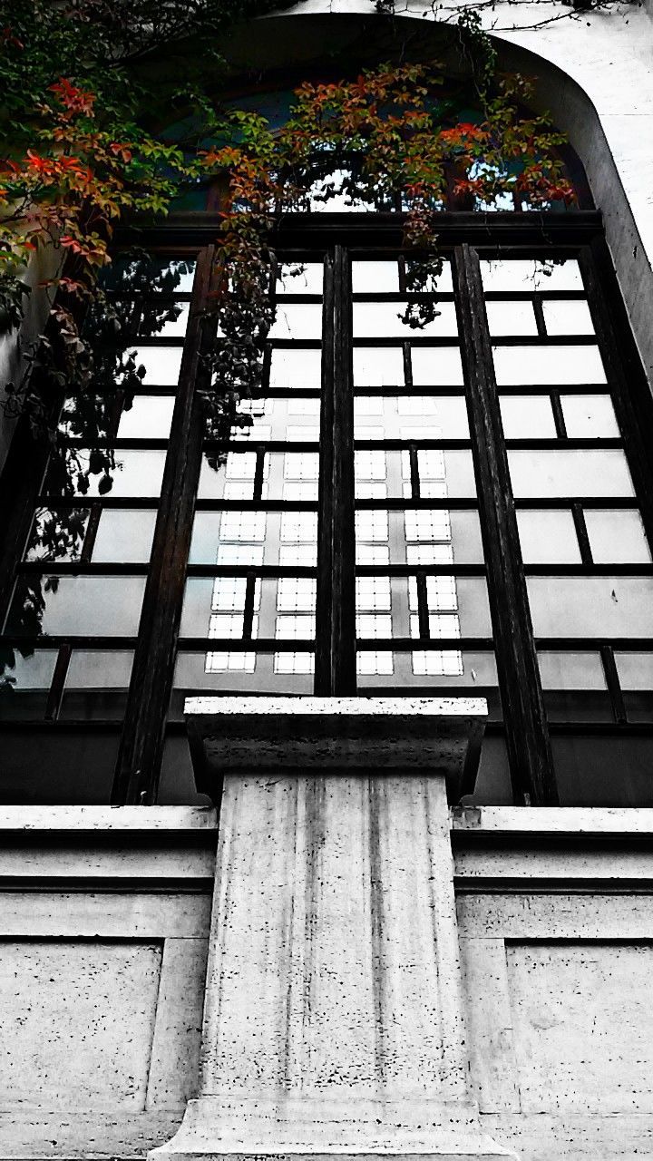 window, low angle view, growth, arch, sky, green, no people, office building, facade