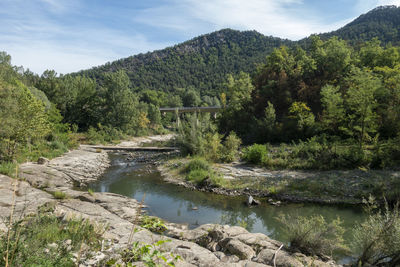 Scenic view of river in forest against sky