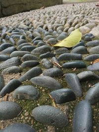 Close-up of stones