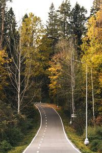 Road amidst trees in forest during autumn