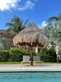 Palm trees by swimming pool