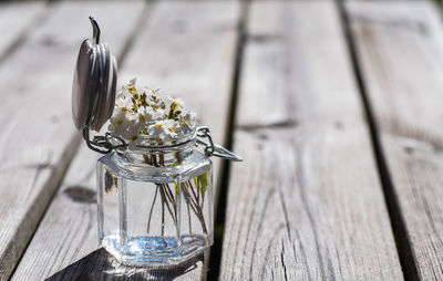 Close-up of white flower in jar on table