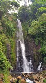 Scenic view of waterfall