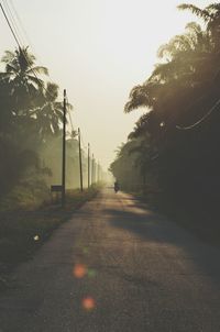 Road amidst trees against clear sky