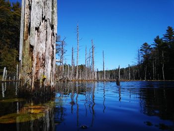 Calm lake against clear blue sky