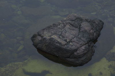 Close-up of rock by lake