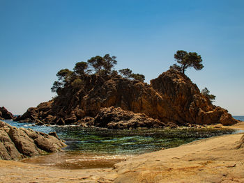 Cap roig, costa brava