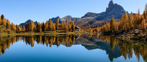 Reflection of trees in lake against clear sky